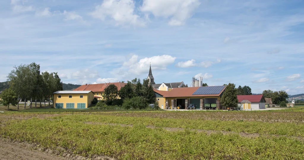 Kartoffelacker vor dem Hof, dahinter der Ort mit Kirchturm